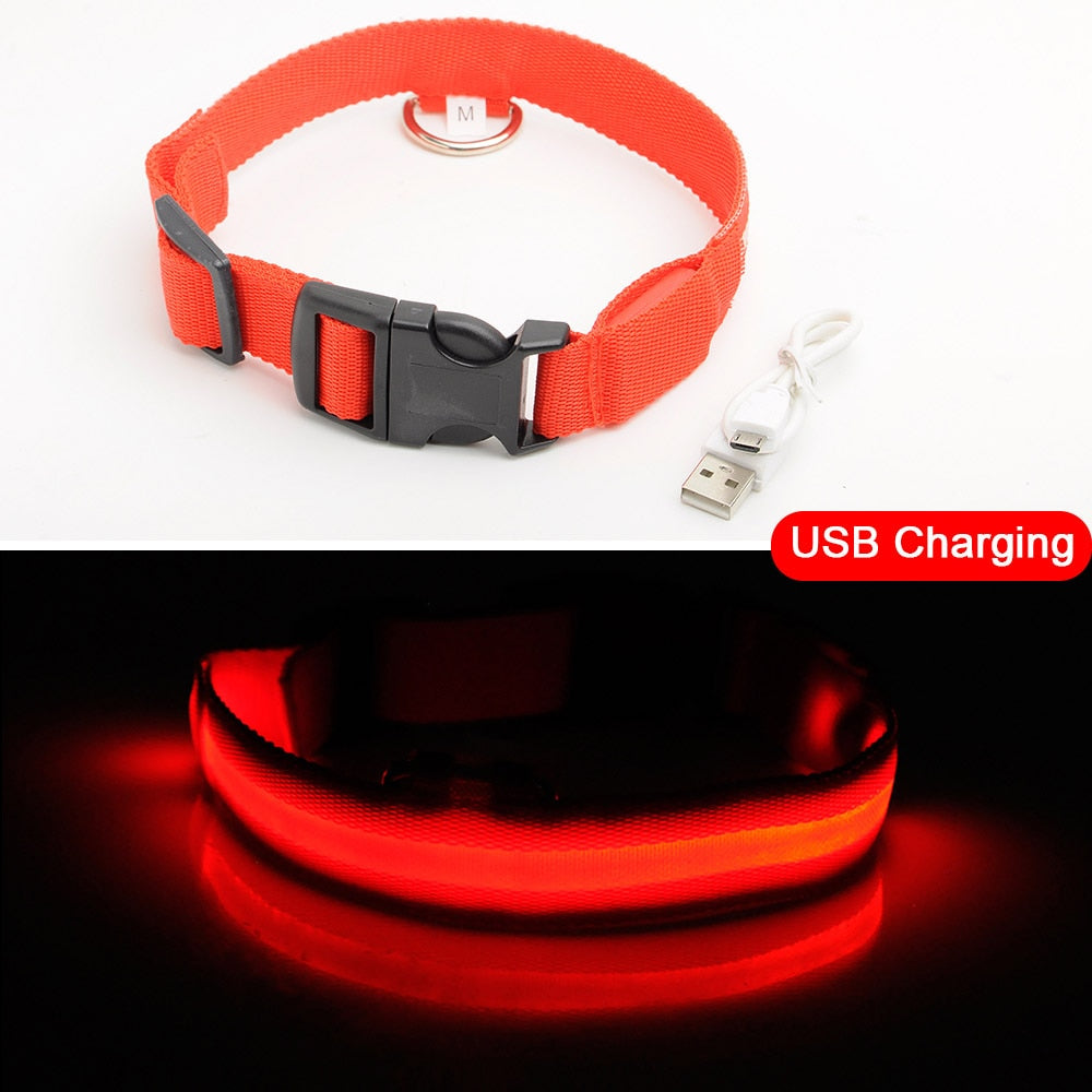 Rechargeable LED Dog Collar